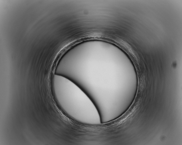 X0000098080831200804040749