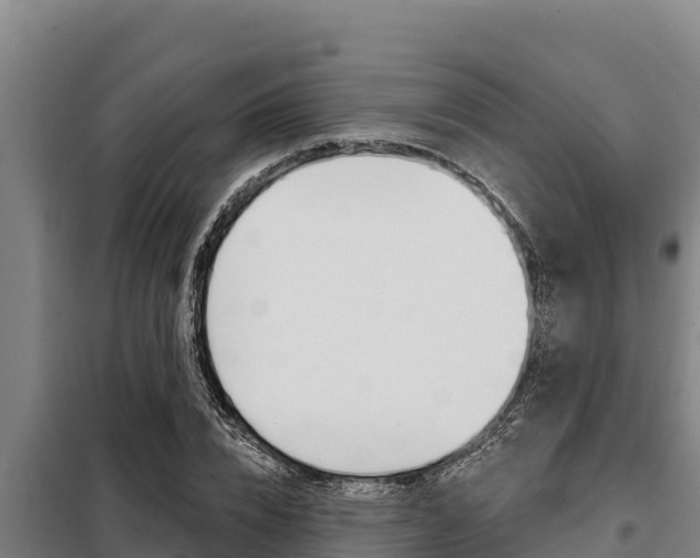 X0000098080832200804040749