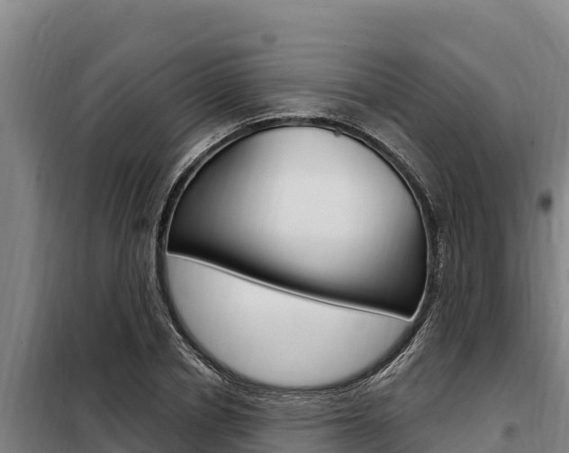 X0000098080834200804040749