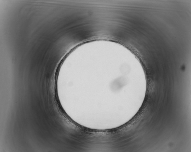 X0000098080836200804040749