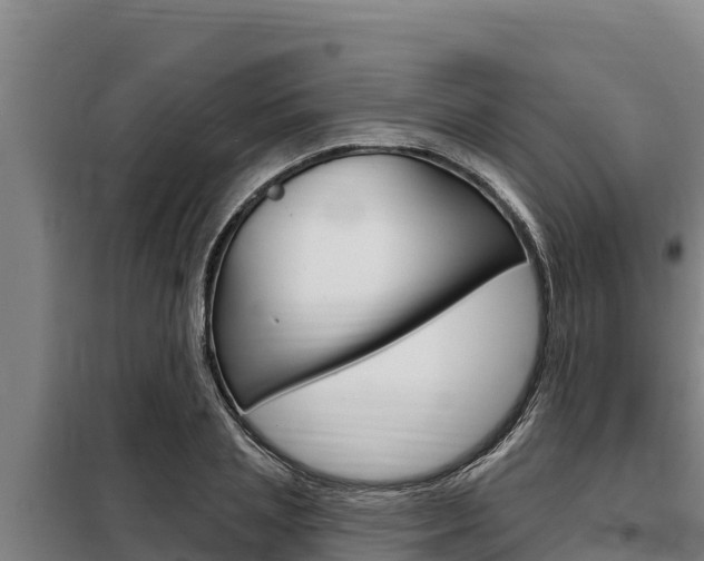 X0000098080837200804040749