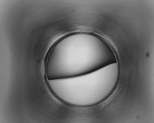 X0000098080838200804040749