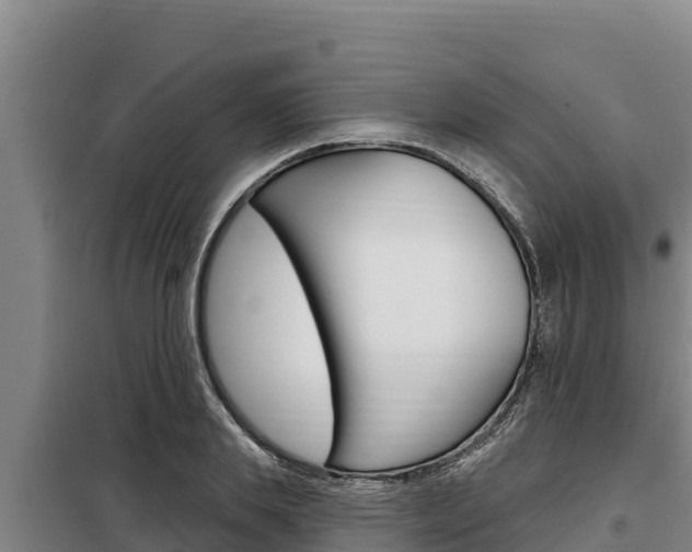 X0000098080839200804040749