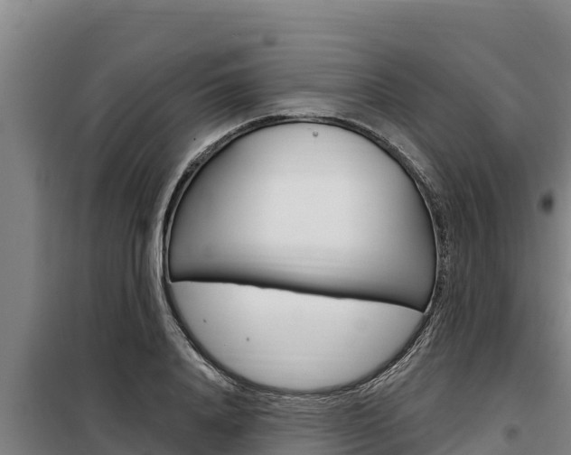 X0000098080840200804040749