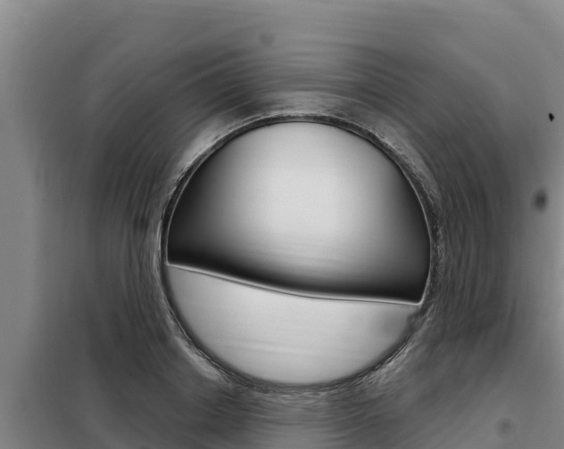 X0000098080842200804040749