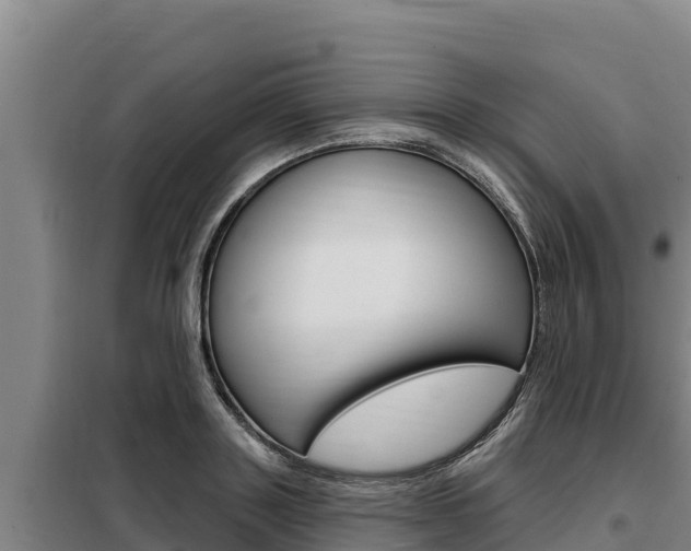 X0000098080843200804040749