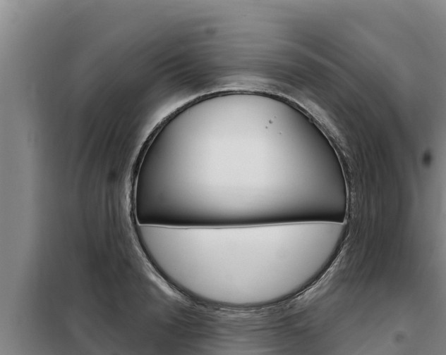 X0000098080846200804040749