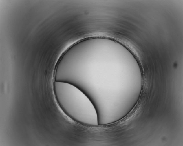 X0000098080847200804040749
