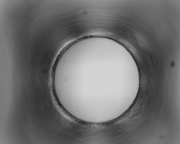 X0000098080848200804040749
