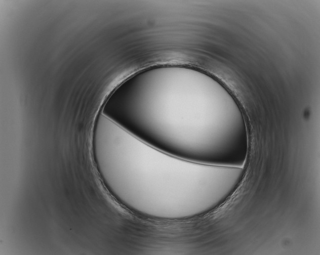 X0000098080850200804040749