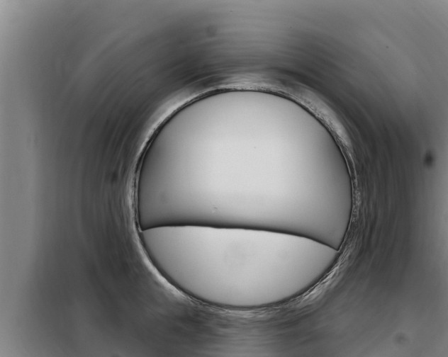 X0000098080855200804040749