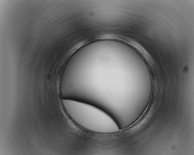 X0000098080857200804040749