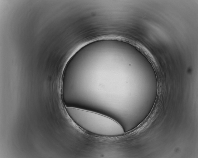 X0000098080860200804040750