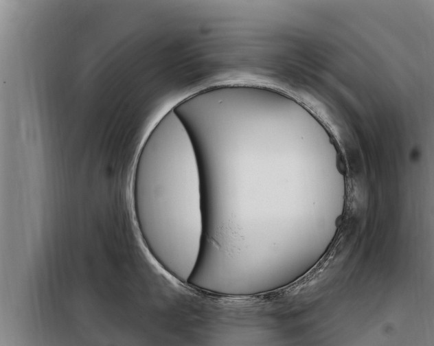 X0000098080863200804040750