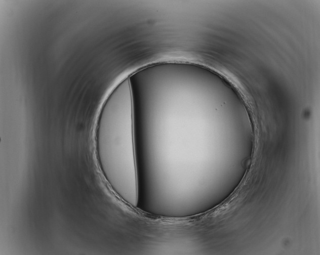 X0000098080864200804040750