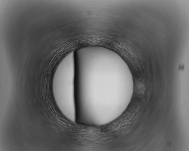 X0000098080865200804040749