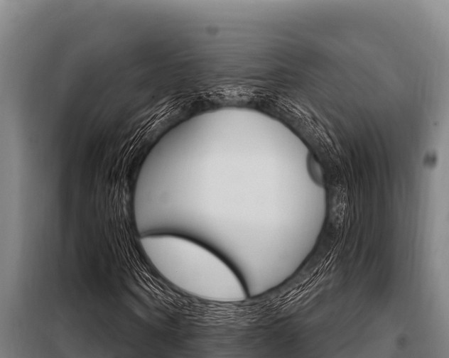 X0000098080866200804040749