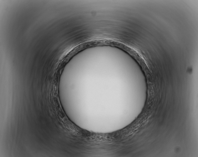 X0000098080871200804040749