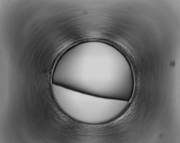 X0000098080873200804040749
