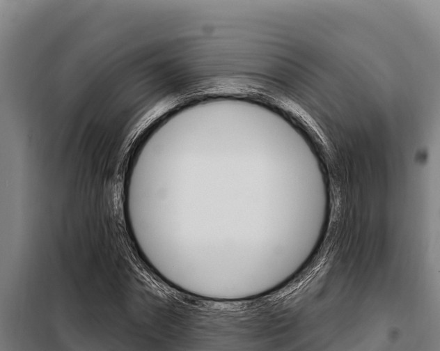 X0000098080874200804040749