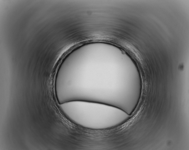 X0000098080875200804040749