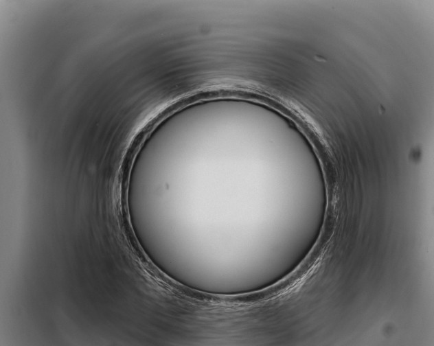 X0000098080877200804040749