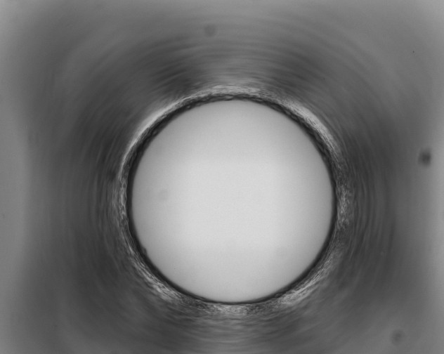 X0000098080878200804040749