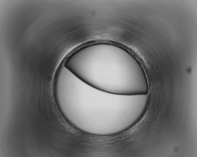X0000098080879200804040749
