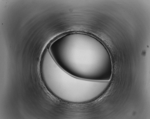 X0000098080880200804040749