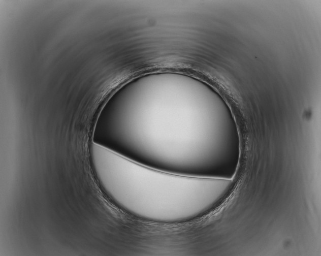 X0000098080881200804040749