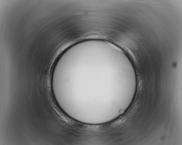 X0000098080882200804040749