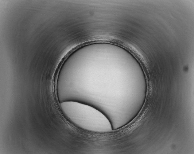 X0000098080883200804040749