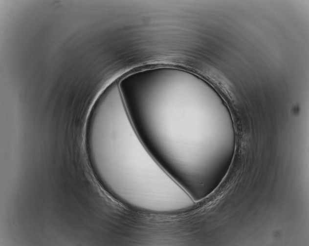 X0000098080884200804040749