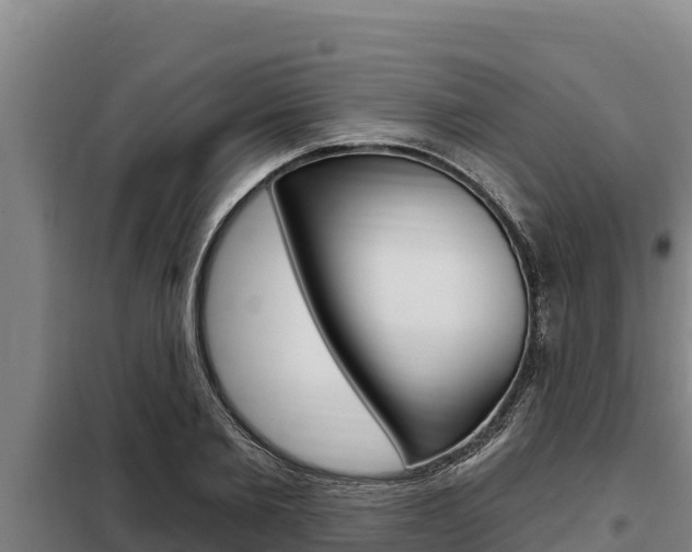 X0000098080885200804040749