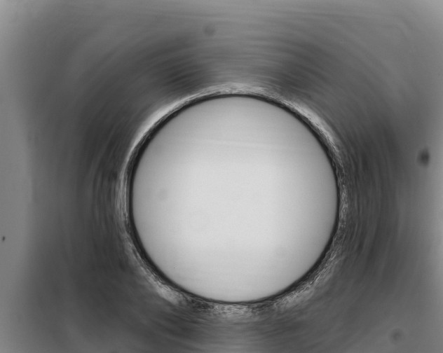 X0000098080886200804040749