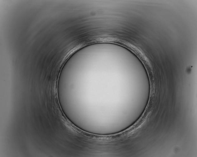 X0000098080889200804040749