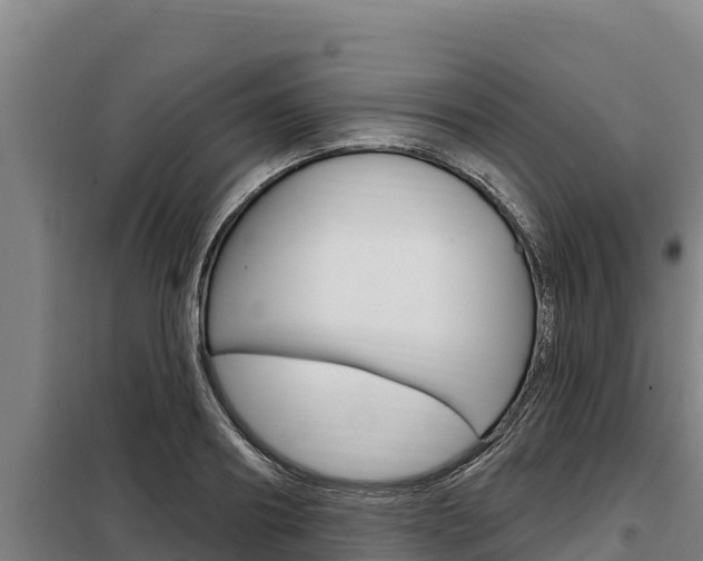 X0000098080890200804040749