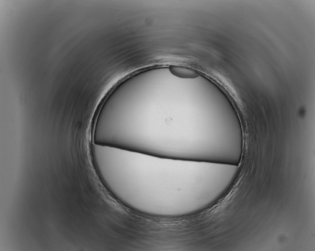 X0000098080891200804040749
