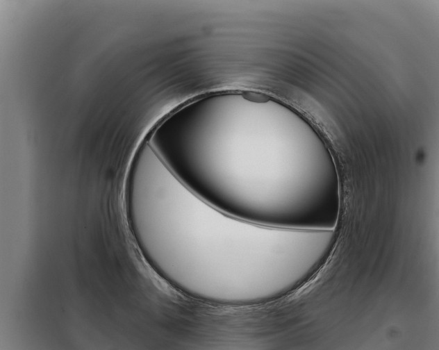 X0000098080892200804040748