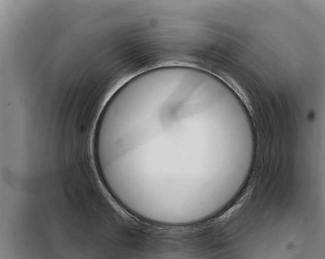 X0000098080893200804040748