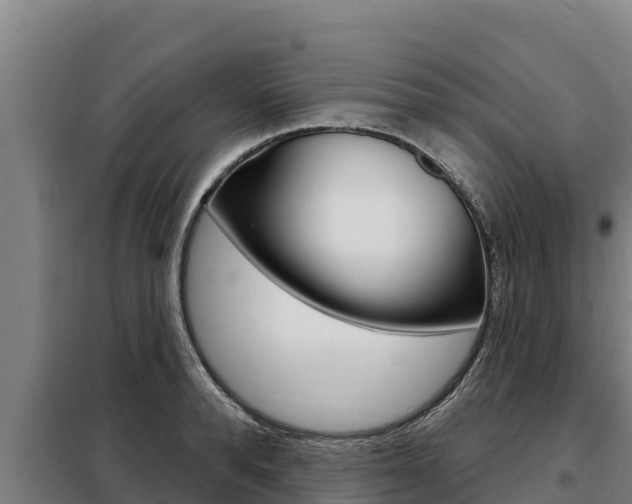 X0000098080896200804040748