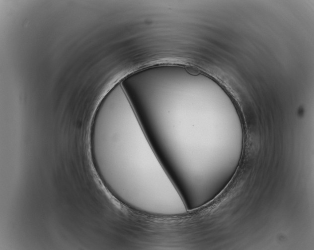 X0000098080898200804040748