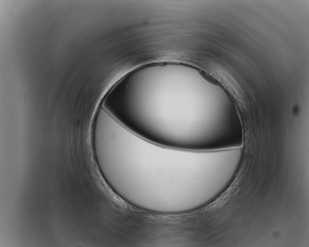 X0000098080900200804040748