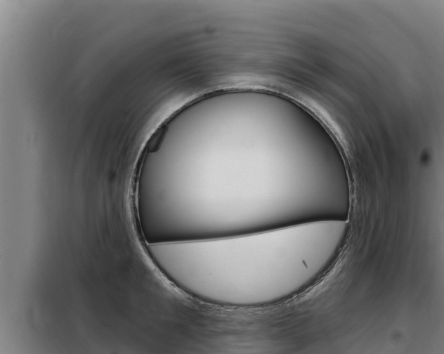 X0000098080901200804040748