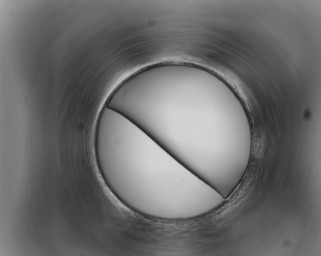 X0000098080903200804040748
