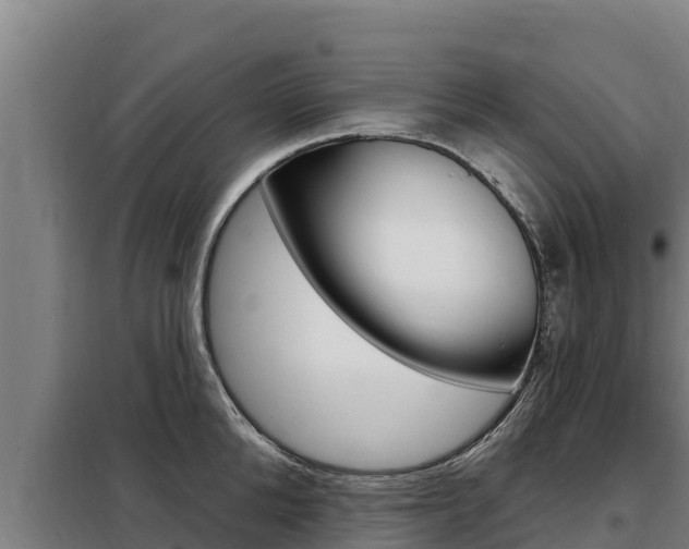 X0000098080904200804040748