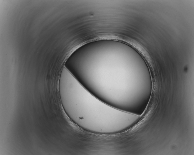 X0000098080905200804040748