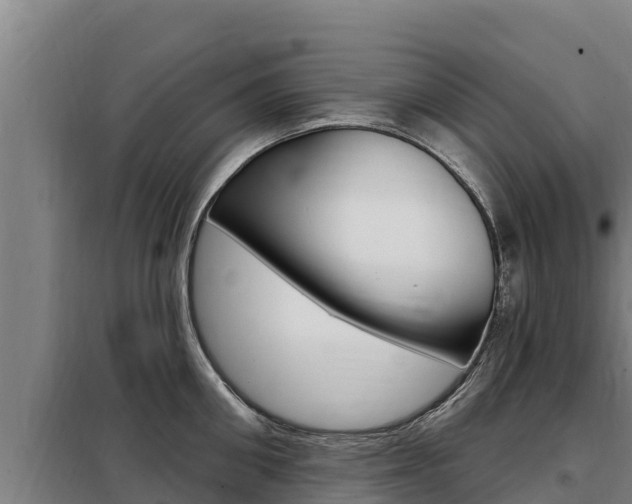 X0000098080906200804040748