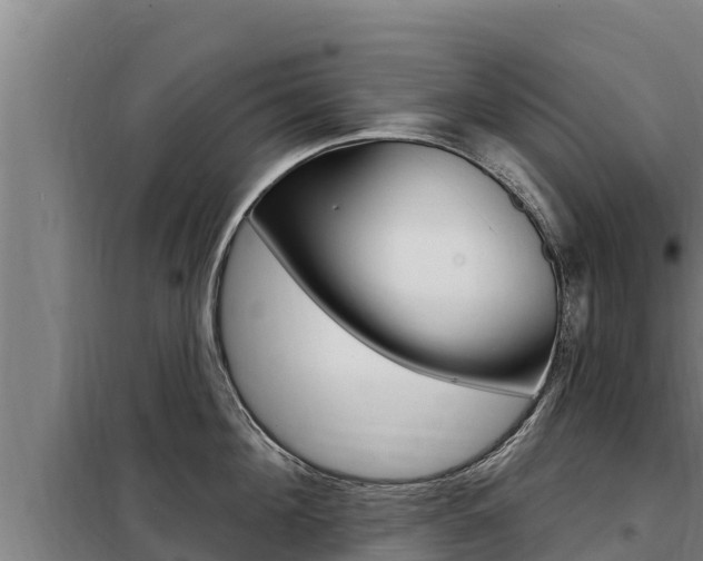 X0000098080908200804040748