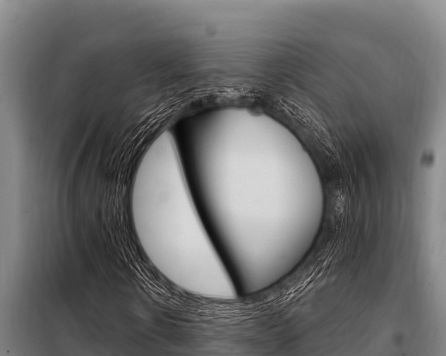 X0000098080914200804040747